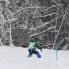 Rennen Skikurs 2018