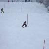 Rennen Skikurs 2018
