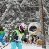 Rennen Skikurs 2018