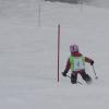 Rennen Skikurs 2018