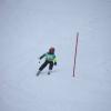 Rennen Skikurs 2018