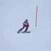 Rennen Skikurs 2018