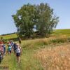 Reichenstein Sommer 2024